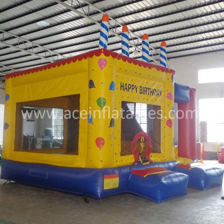 Birthday Bouncy Castle